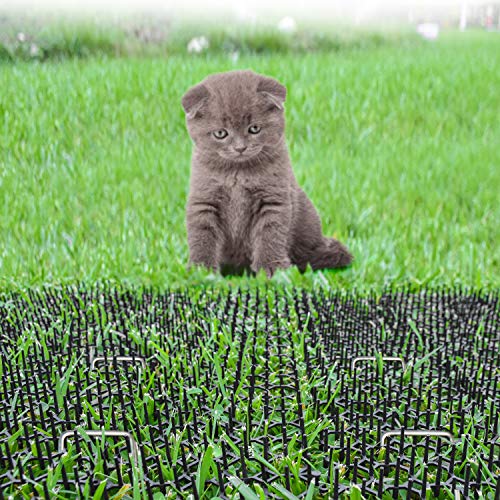 Abco Tech Cat Scat Spike (10 Strips) – Gentle Pet Deterrent for Cats, Dogs and More – Non-Toxic Humane and Effective Repellent – Easy to Install – Includes 12 Garden Staples