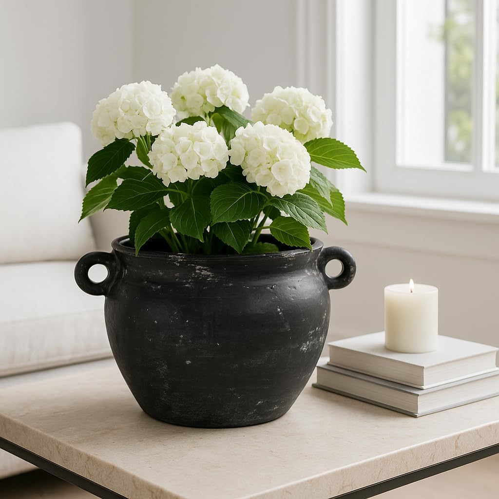Flower Pot for Home Decor – Large Ceramic Planter with Sculpted Handles for Indoor Plants or Outdoor Display – Decorative Plant Stand for Room, Garden, or Patio Decor and Entryway Design – 8" Black