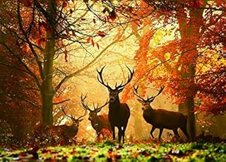 Jigsaw Puzzles 1000 Pieces for Adults Difficult Hard Jigsaw Puzzles for Women Men Premium Cardboard Precise Interlocking Elk Autumn