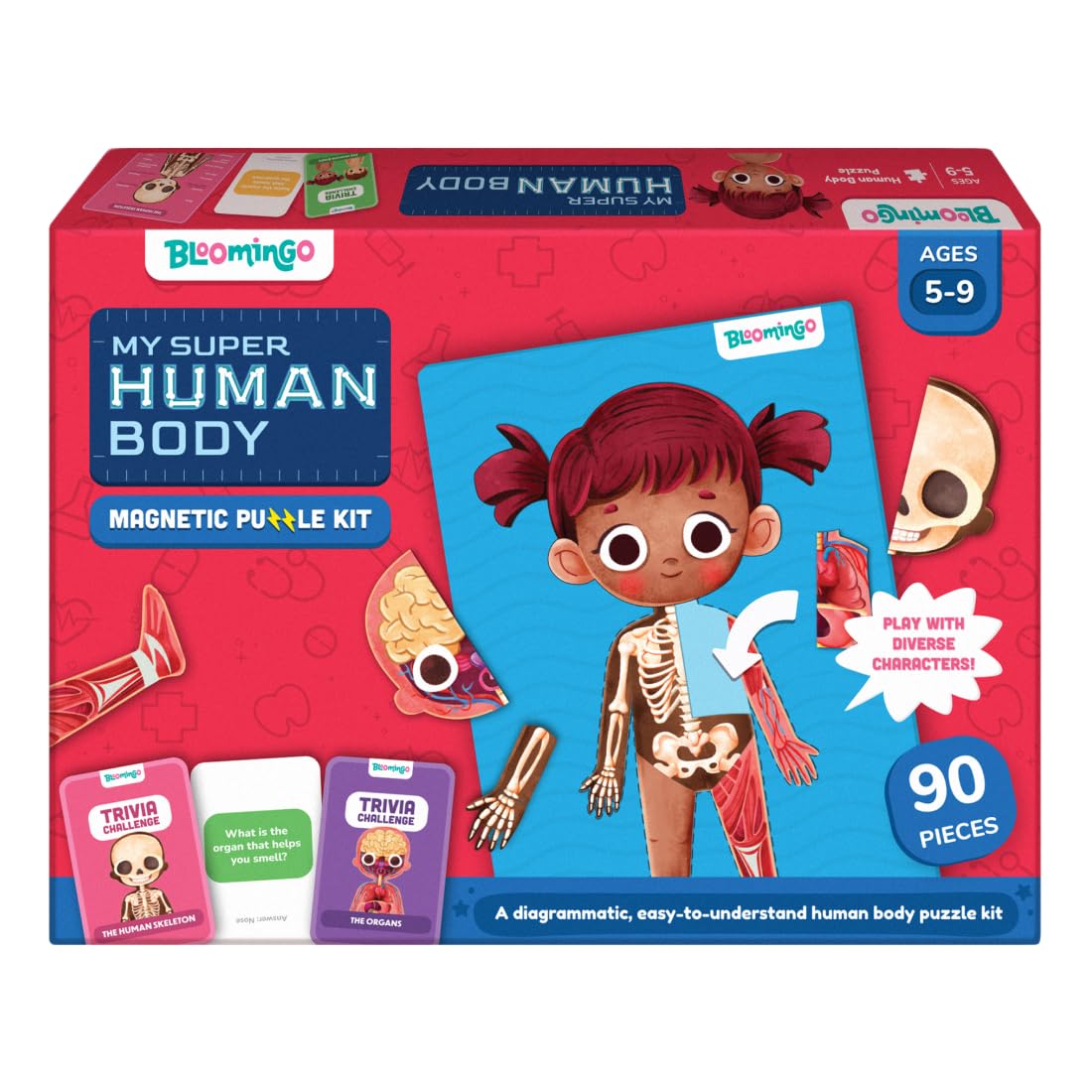 Bloomingo My Super Human Body: 5 Interactive Layers with 90 Magnetic Puzzle Pieces to Learn About The Human Skeleton Muscles & Organs | STEM Educational Science Toy Best Birthday Gift for Kids Age 5+-image-48