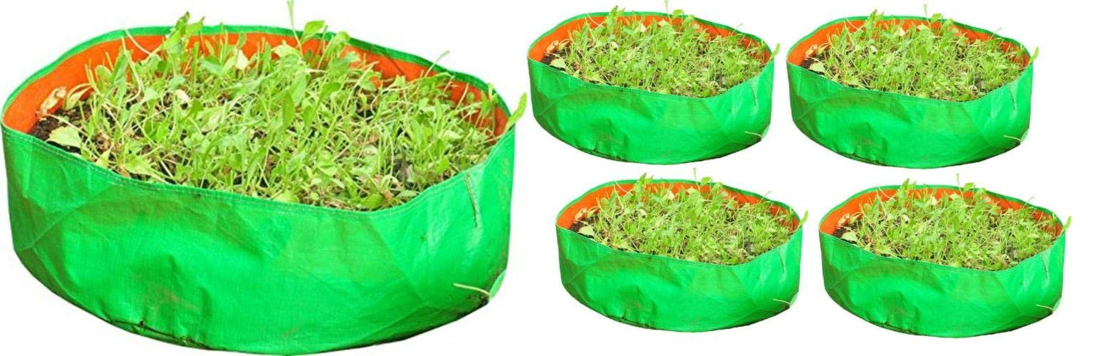 COIR GARDEN Terrace Gardening HDPE Grow Bags for Vegetable Plants, Spinach (18x8-Inches/46 L X 20 H cm) - Pack of 5 (B07K46JFPQ) Amazon Price History, Amazon Price Tracker