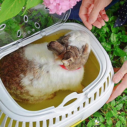 Ferplast Transportbox für Hamster und andere kleine Nagetiere Aladino Large Reisekäfig für Hamster, Farbiger Boden mit transparentem Deckel, 36 x 26 x h 23 cm, grün