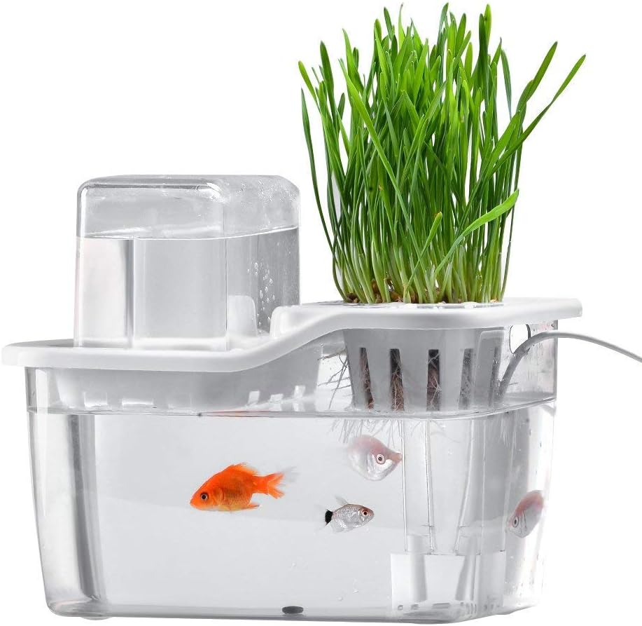 Mini Water Garden Fish Tank,Hydroponics Growing System Aquarium with Organic Aquaponic Office Desk/Living Room Small Personal Ecology Multifunctional Creative Landscape Aquarium Great For Kids