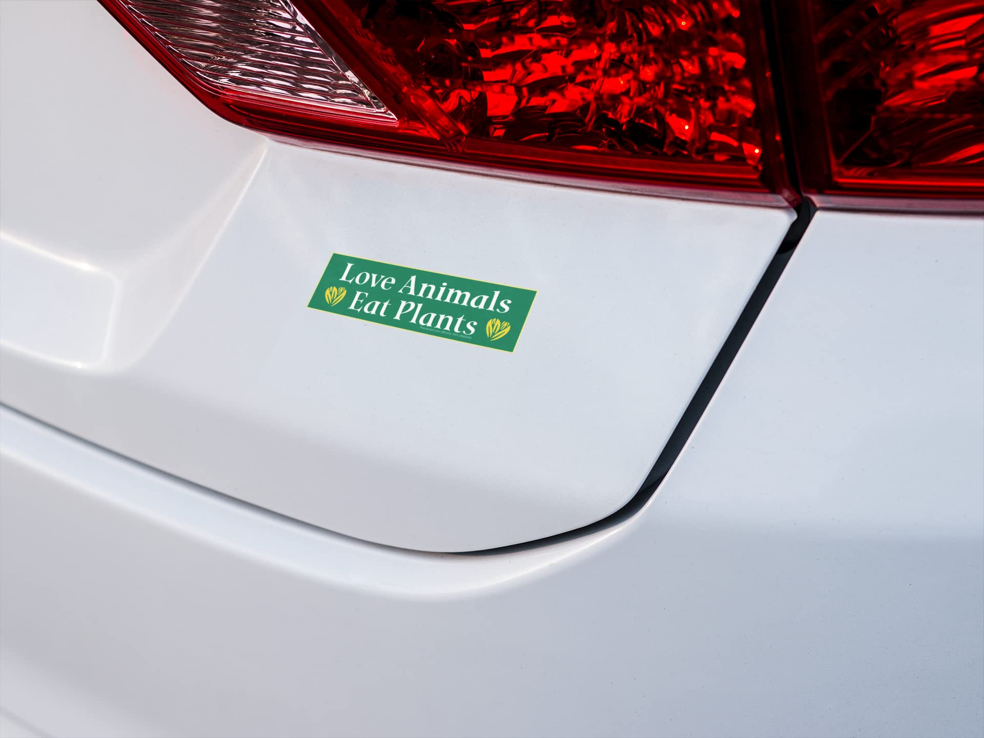 'Love Animals Eat Plants' wegetariańska wegańska mała naklejka na zderzak samochodowy butelka wody rower skrytka deskorolka naklejka 14 x 1,63 cala (naklejka)