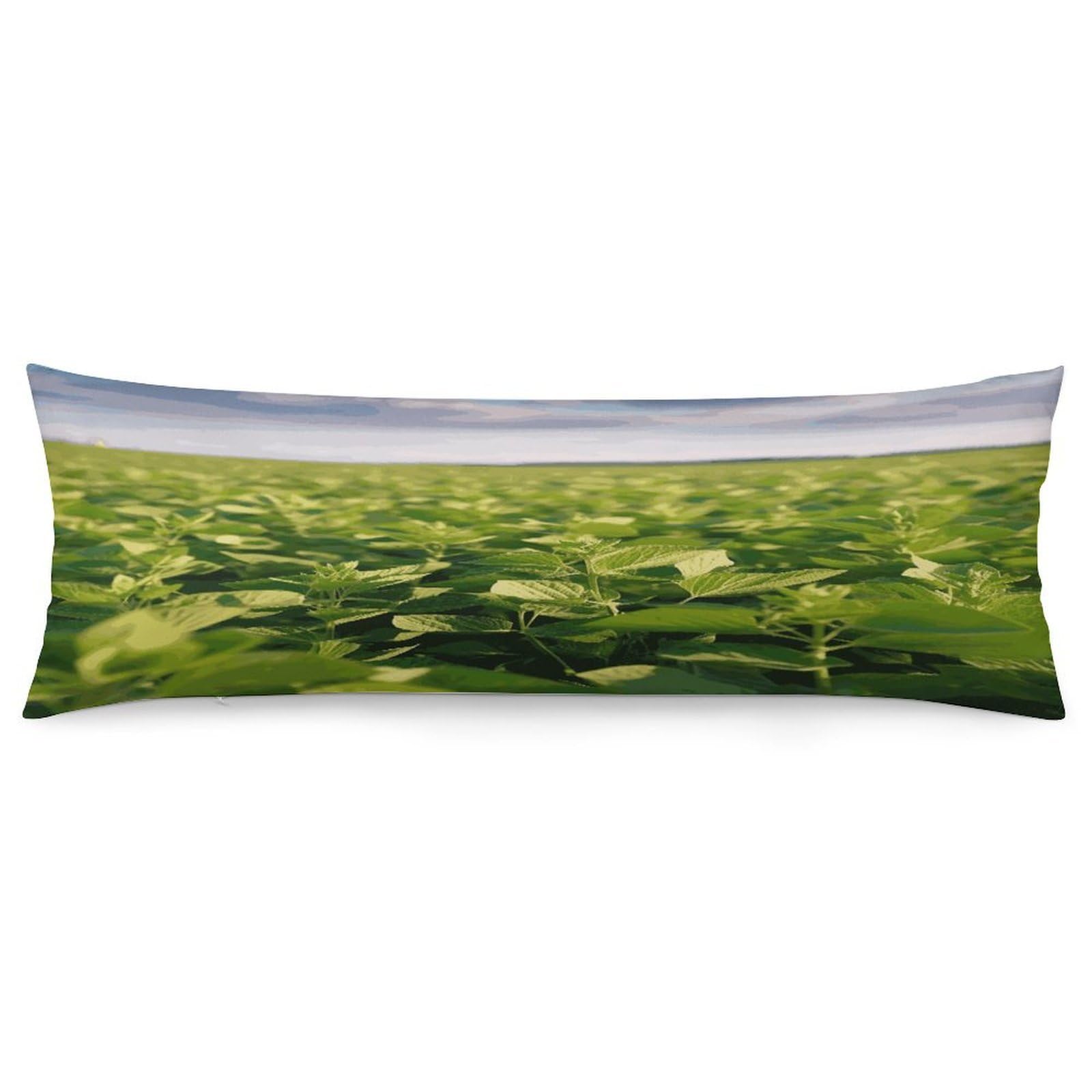 Soybean Field Throw Pillow Covers with Silent Zipper Polyester Pillow Protectors Removable Pillow Cases Soft Pillowcase Cozy Pillow Sham Cushion Cover for Sofa Car Bed 20"x54"