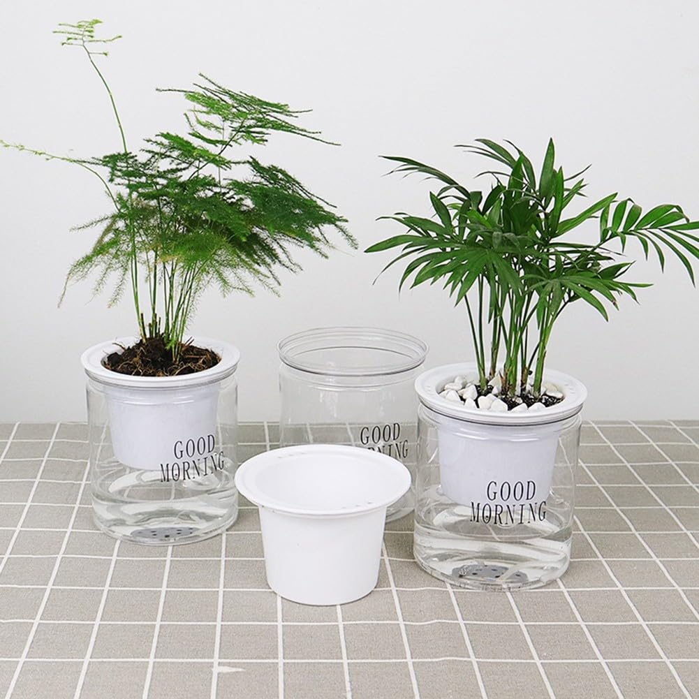 Maceta Autoabsorbente Innovadora - Riego Automático, Plástico PET, Base Plana, Ahorra Agua, Para Plantas De Interior