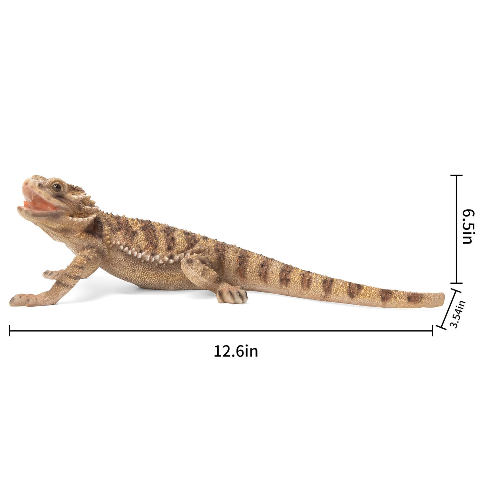 Amazon.com: SUYNYBHF Garden Lizard Statue - Resin Reptile
