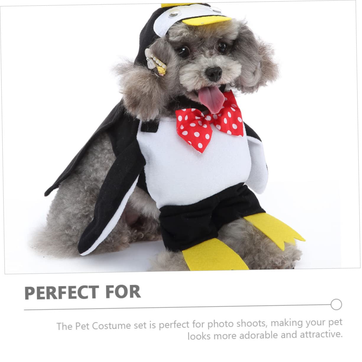 3 Set Pet Trasformazione Costume Cappotti Dreses Costume Di Babbo Natale Cucciolo Gattino Outwear Abbigliamento Vestiti Del Cane Principe Cane Cappello Del Cane Adorabile BESPORTBLE