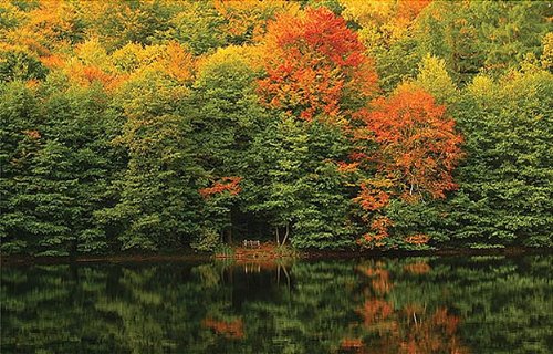 Papier peint Automne au lac xxl tapisserie murale bois 243x326 cm