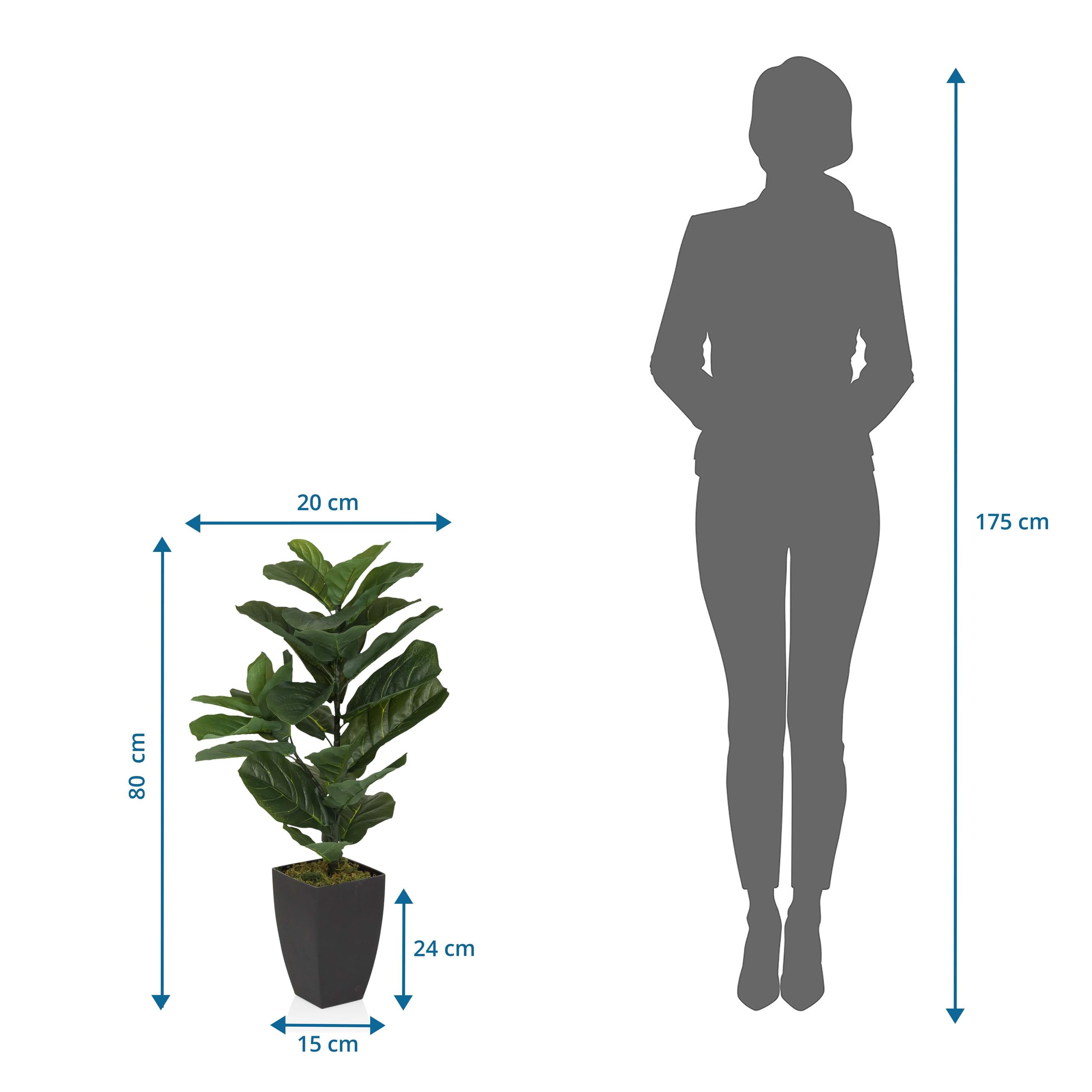 Amazon.de: hjh OFFICE Kunstpflanze 80cm LYRATA Knstliche Deko Pflanze mit  Topf, exotischer Feigenbaum fr Wohnzimmer Schlafzimmer Bro