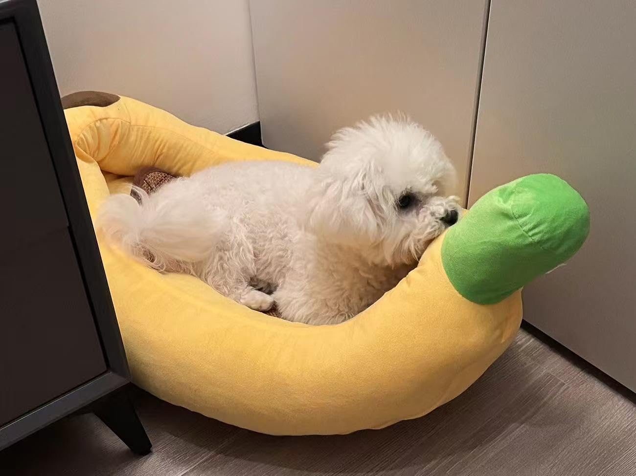 Frenchie in Banana Bed