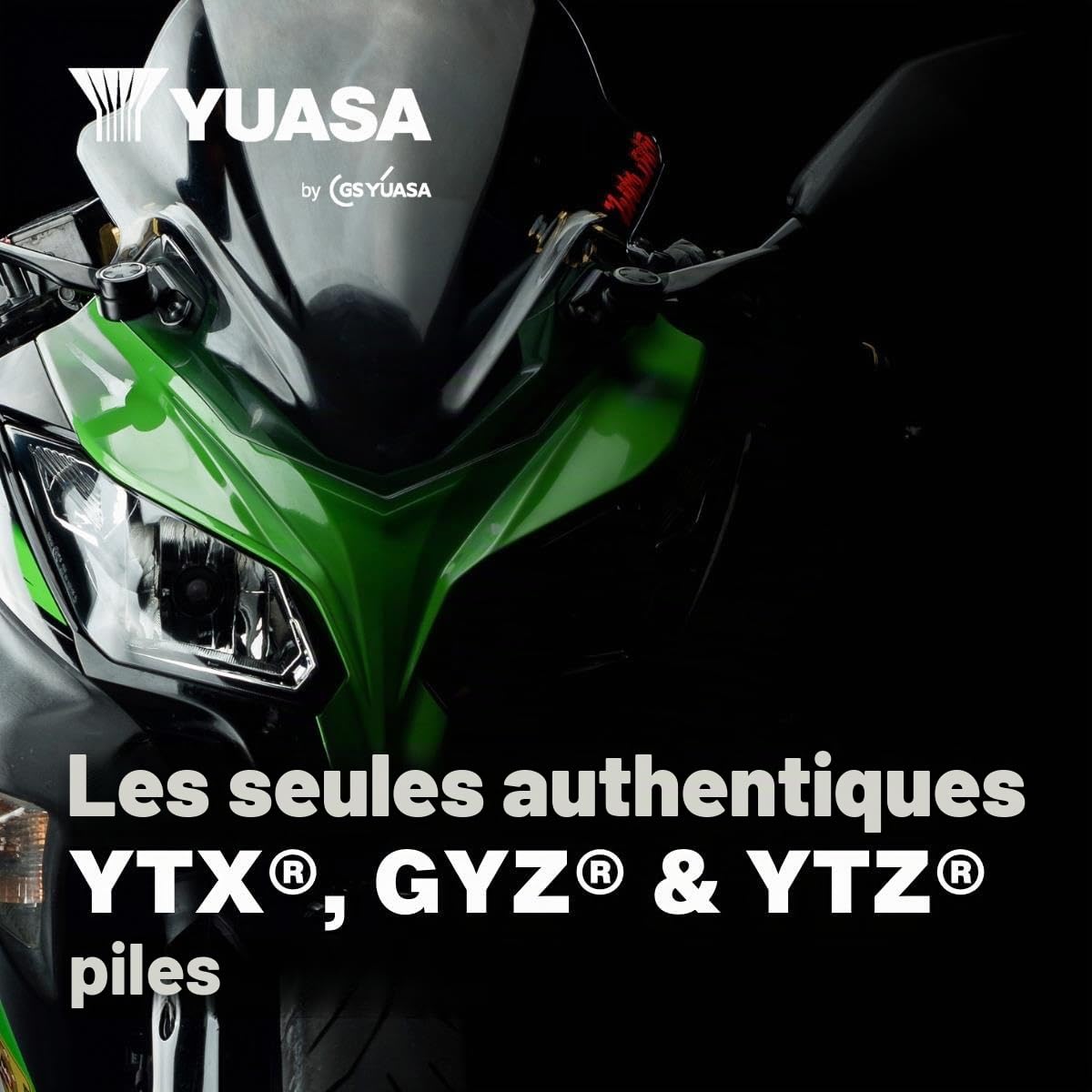 Yuasa YTX14L 12V 200 CCA Batterie de moto VRLA sans entretien | VRLA 12 V, capacité 12,6 Ah, 200 CCA, 4,6 kg, résistant aux vibrations et à la corrosion, parfait pour motos et VTT
