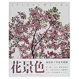 前田景春　作品 6442bfe175a41b1cacaffd5216e1a8