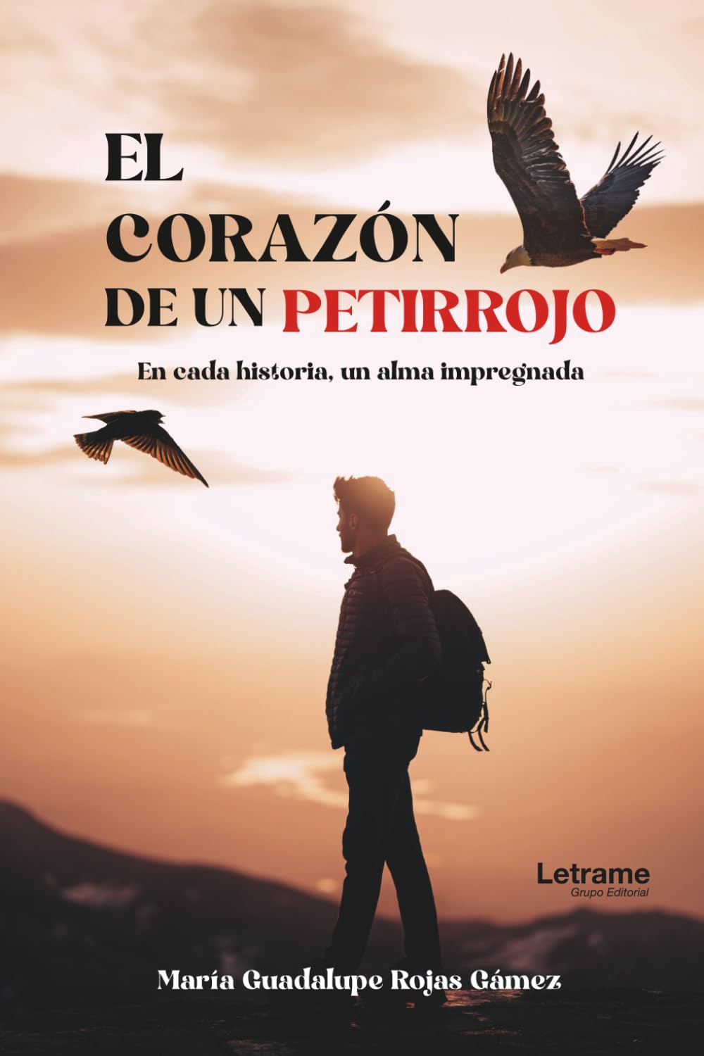 El corazón de un petirrojo: En cada historia, un alma impregnada