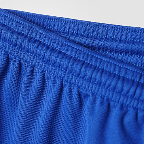 Adidas Women's Parma 16 Shorts Bold Blue/White Large #TOP4