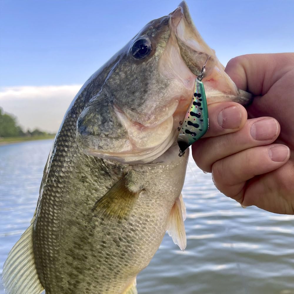 Wounded Wobbler Essentials 4er-Pack – Ultraleichter Wobble Minnow Crankbait Angelköder (55 mm & 50 mm) – Wounded Series – Einzelhaken – Forelle, Barsch & Panfish Köder
