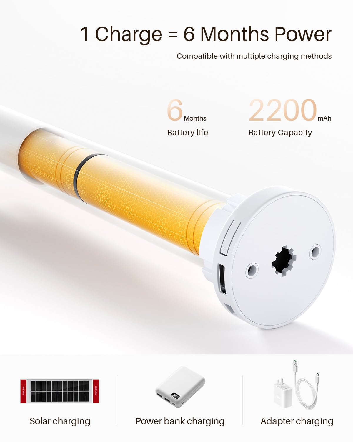 Tende Zebra Intelligenti per Finestre, Tende Elettriche Alexa con Telecomando, Tende Automatiche per Finestre Interne con Filtraggio della Luce e Protezione della Privacy (80L x 183A cm