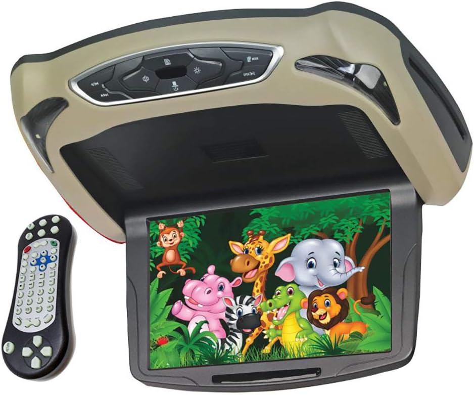 lettori dvd overhead