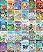Produktbild Dragon Masters Series, Set of 26 Books