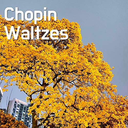 Chopin Waltzes