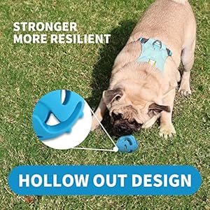 All for paws pet hol ee roller dog toy puzzle ball natural rubber  lightweight ideal bounce balls for dogs  stretchy rubber dog ball toy for large dogs   cucciolini doodles
