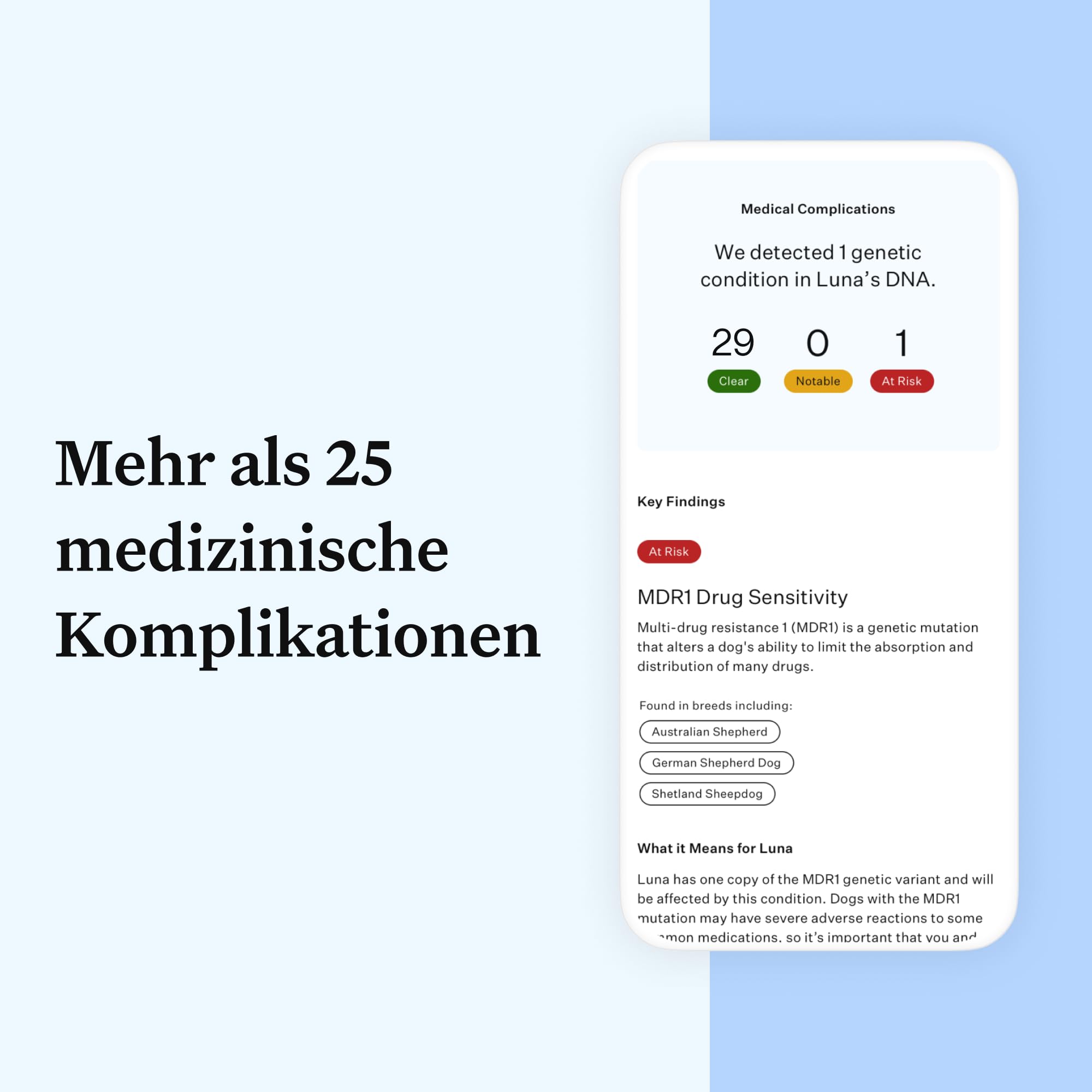 Wisdom Panel Essential – Hunde-DNA-Test für Ahnen, Rassen, Eigenschaften und Gesundheitstests