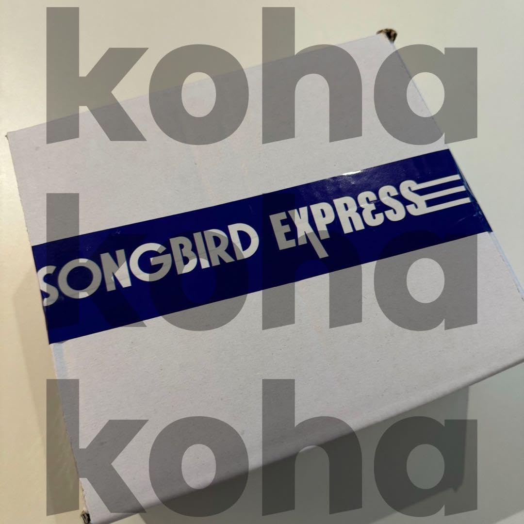 Amazon.co.jp: NCT WISH Songbird Express 韓国ゲリライベント