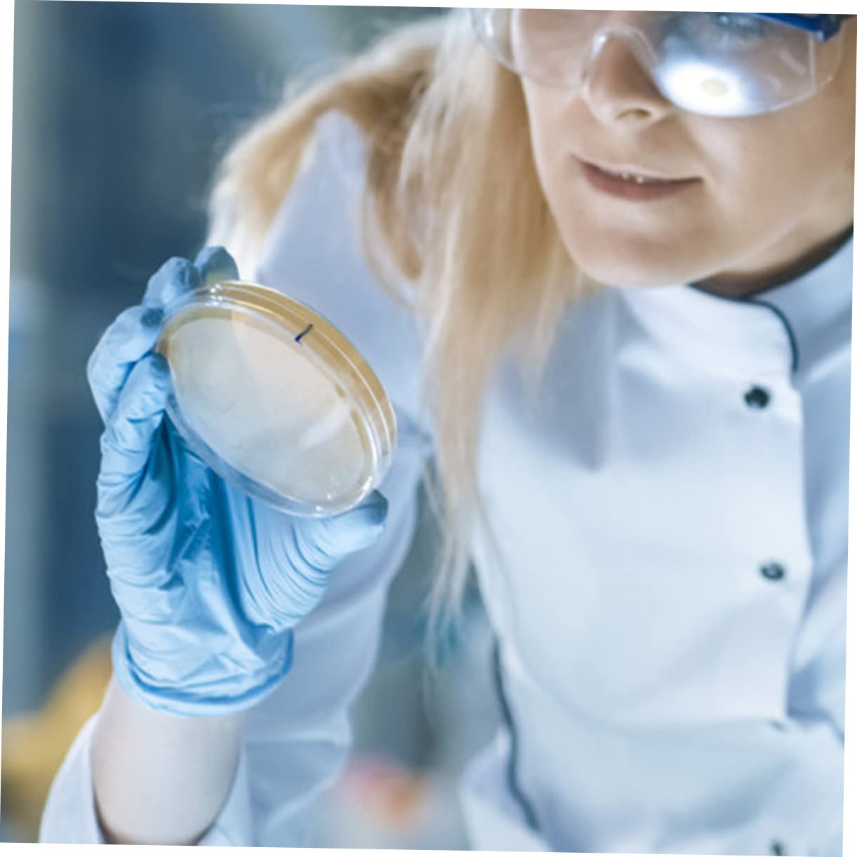 20 Pièces Boîtes De Pétri Pré-Coulées Avec Agar Pour Expérimentation Scientifique Stem 2.76X2.76X0.79In Plaques De Gélose Nutritive Pour École Et Laboratoire