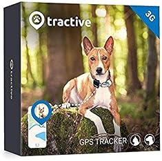 best dog tracker device