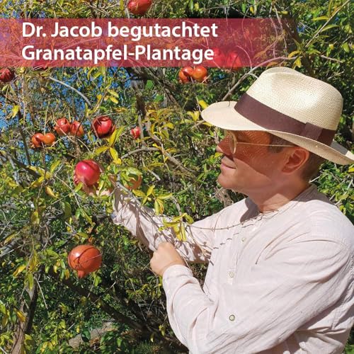Foto von Dr. Jacob’s Granatapfel-Elixier vegan 500 ml I unverfälscht fruchtig-herber Granatapfel-Geschmack I 25 Portionen