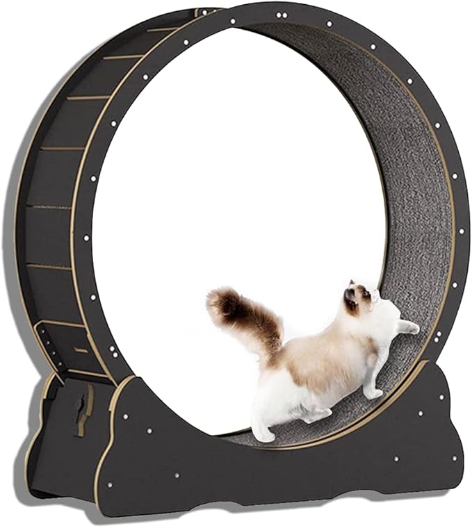 Cat Exercise Wheel,Cat Running Wheel Cat Treadmill Cats Loss Weight Device Sturdy Multi