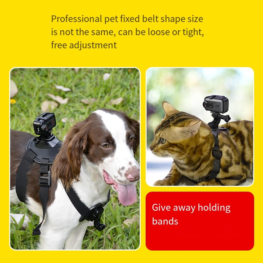 Mini caméra pour Animaux de Compagnie, pour capturer Les Aventures Quotidiennes des Animaux de Compagnie, Collier sans Fil, caméra avec d'action, WiFi, 32 Go, Combinaison