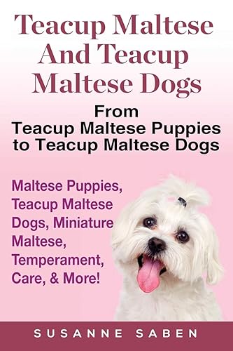 Teacup Maltese And Teacup Maltese Dogs: From Teacup Maltese Puppies