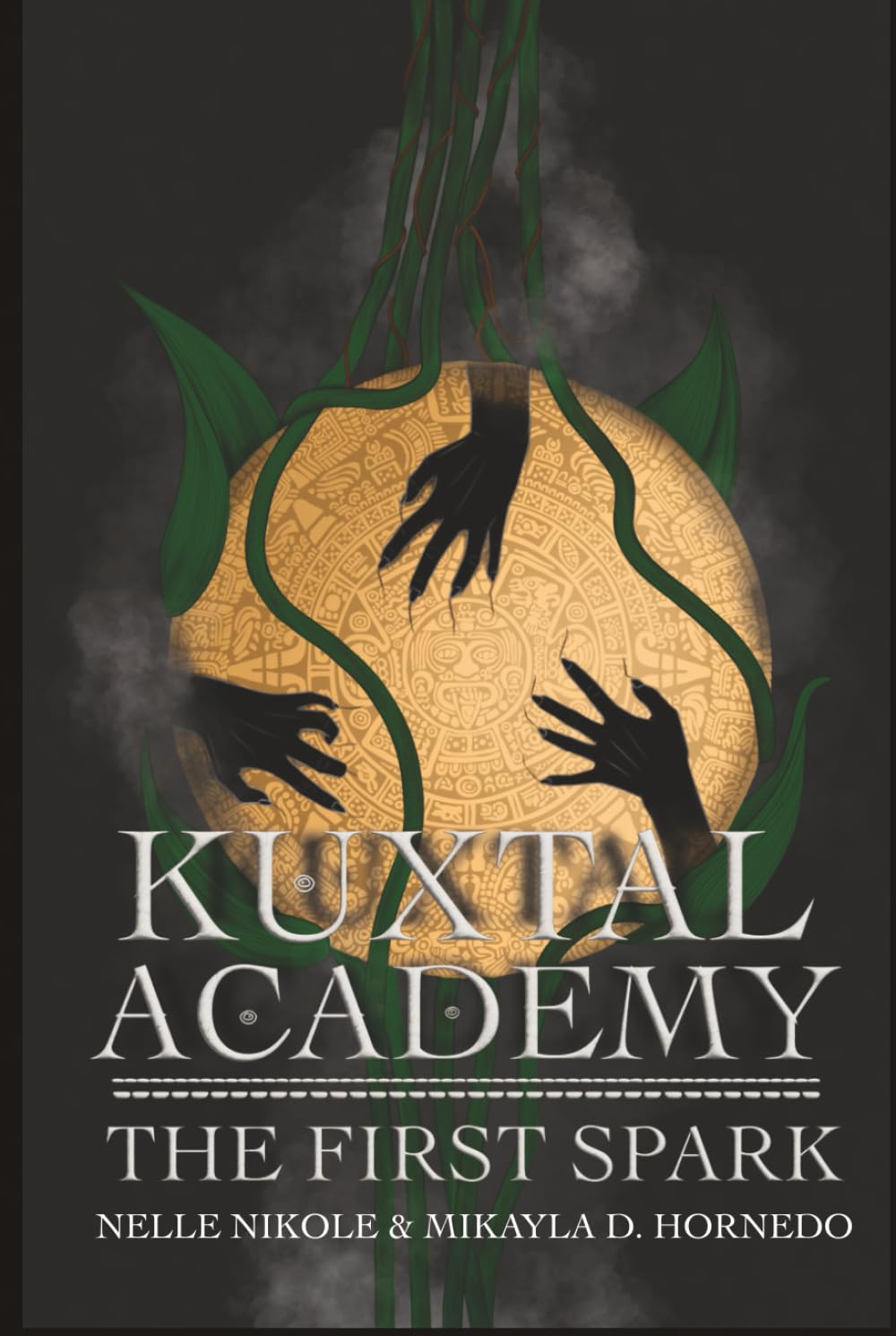 Kuxtal Academy: The First Spark