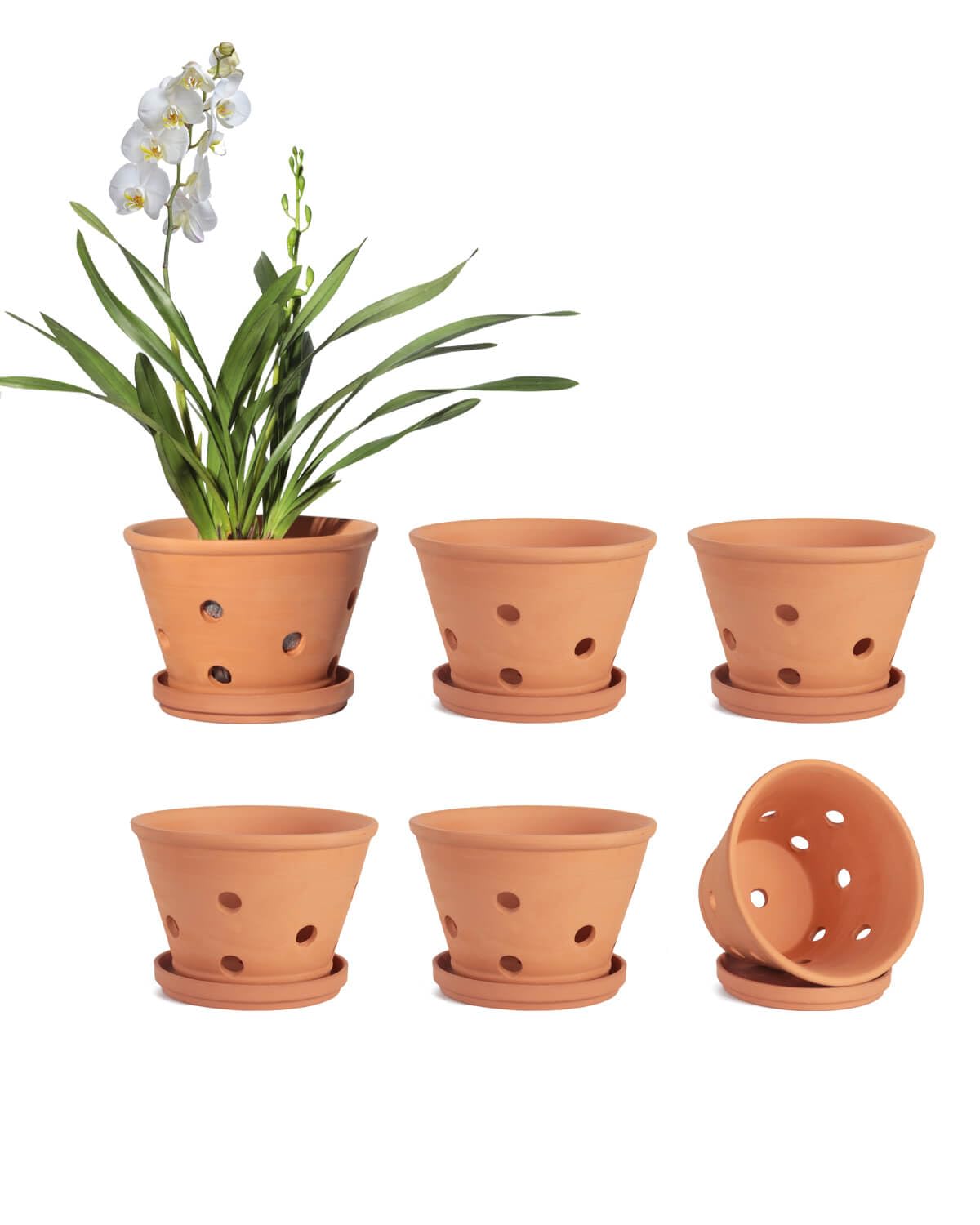 vensovo 4 Inch Terracotta Orchid Pots with Holes and Saucers - 6 Pcs Small Clay Planters for Repotting, Terra Cotta Pot for Plants Indoor and Outdoor Promotes Air Circulation