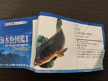 Amazon.co.jp: 原色海水魚図鑑II シークレット クエ 原色図鑑