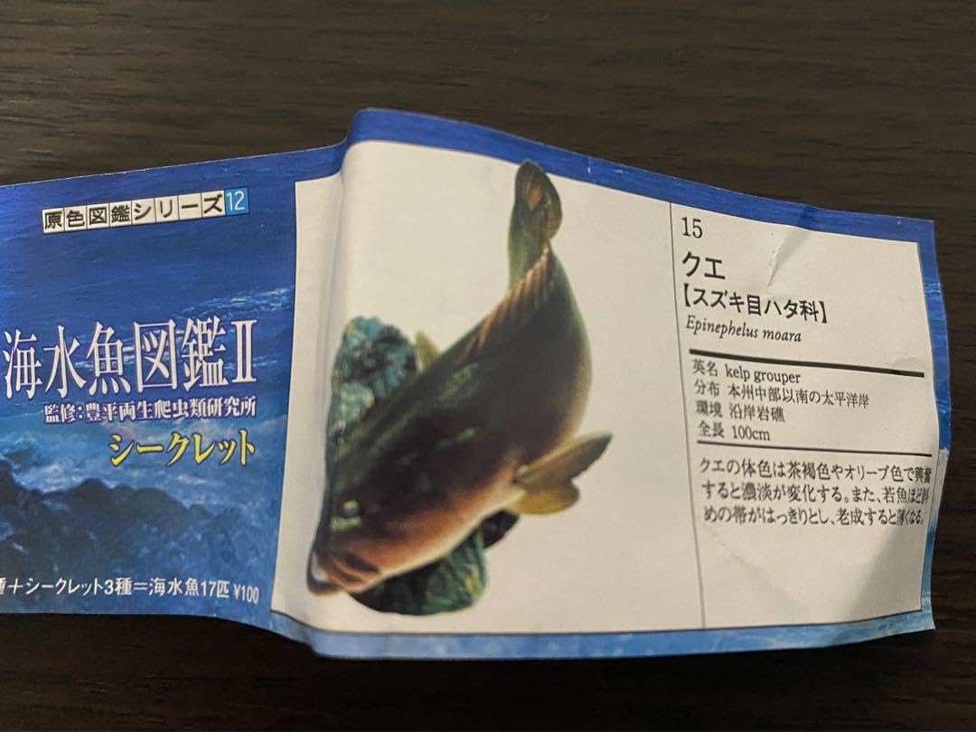 原色検索　日本海岸動物図鑑2 原色検索日本海岸動物図鑑 2 | 西村 三郎 |本 | 通販 | Amazon