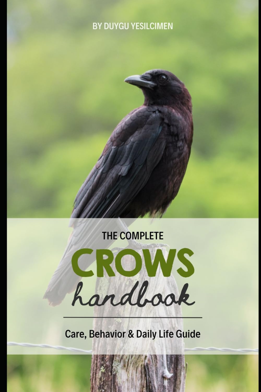 Crows Handbook: Care, Behavior & Daily Life Guide