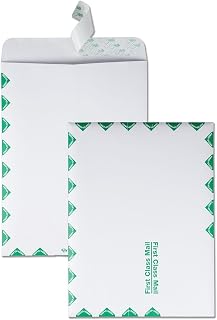 Quality Park 9 x 12 Catalog Mailing Envelopes, First Class Border, Redi-Strip Self Seal Envelope Closure, 28 lb White Wove Paper, 100 per Box (QUA44534)