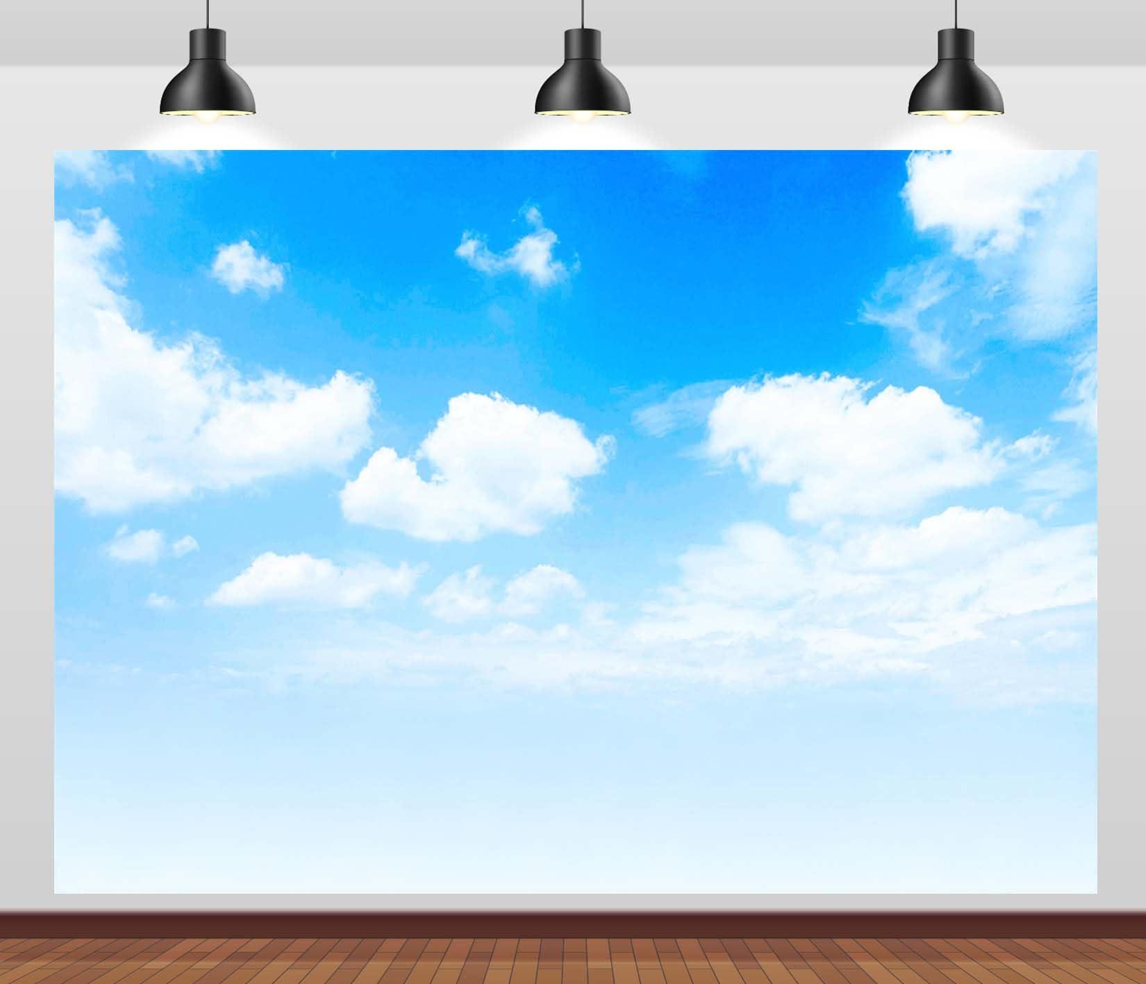 5x5FT Ciel Bleu Nuages Blancs Fond Photo