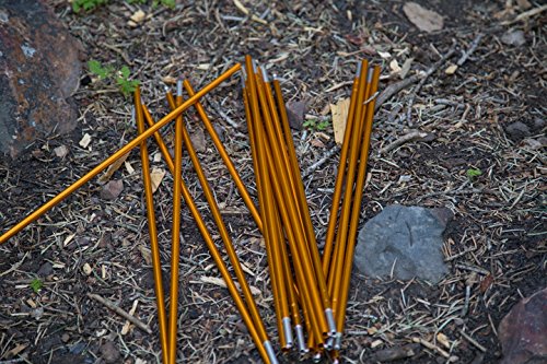 TETON Sports Mountain Ultra 4 Tent