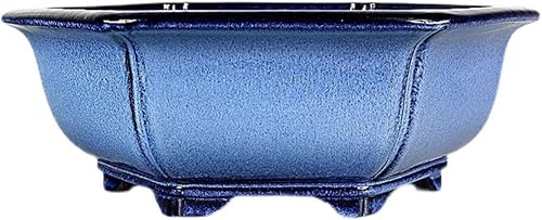 ARZARF Macetas hexagonales extra grandes, macetas de bonsái de arena morada, maceta decorativa de orquídea, pino y ciprés con agujeros de drenaje,