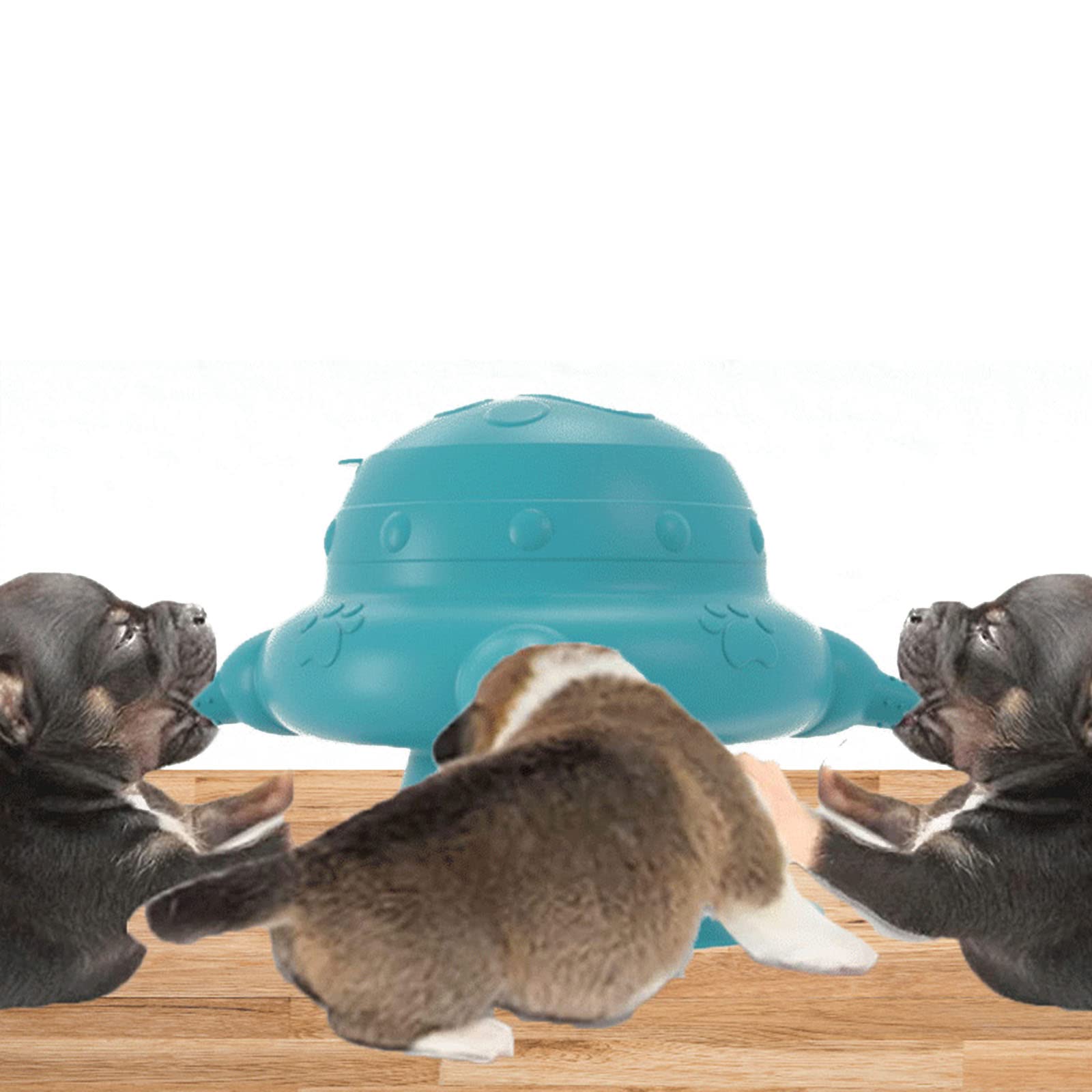 Dasdffvf Puppies Feeding Station with 4 Nipples for Newborn Kitten Capacity 240ml Nursing Bottle Kits for Multiple Kittens-