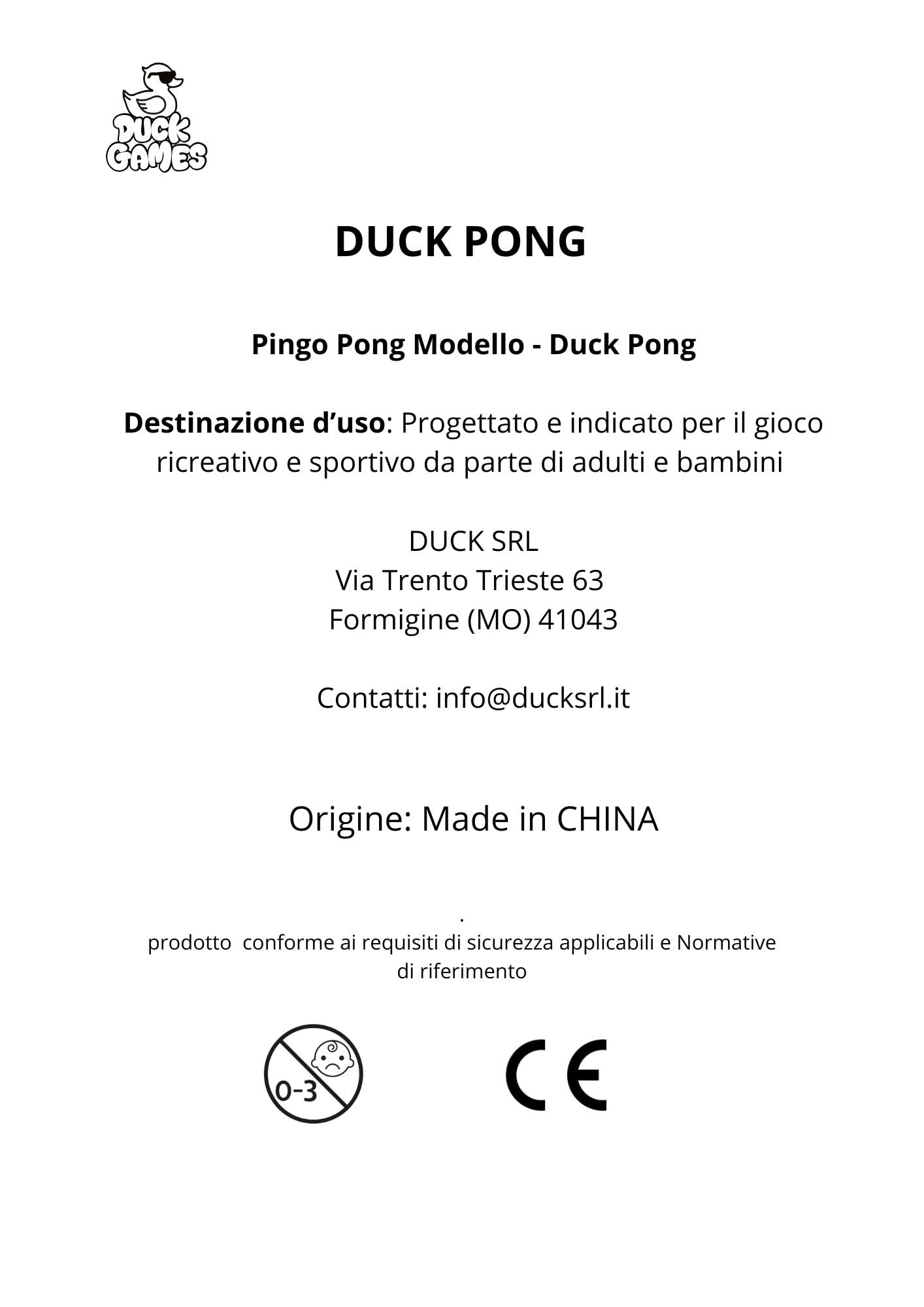 TAVOLO DA PING PONG - Dimensioni Regolamentari - INCLUSO SET COMPLETO Racchette, Palline e Rete - Da Interno