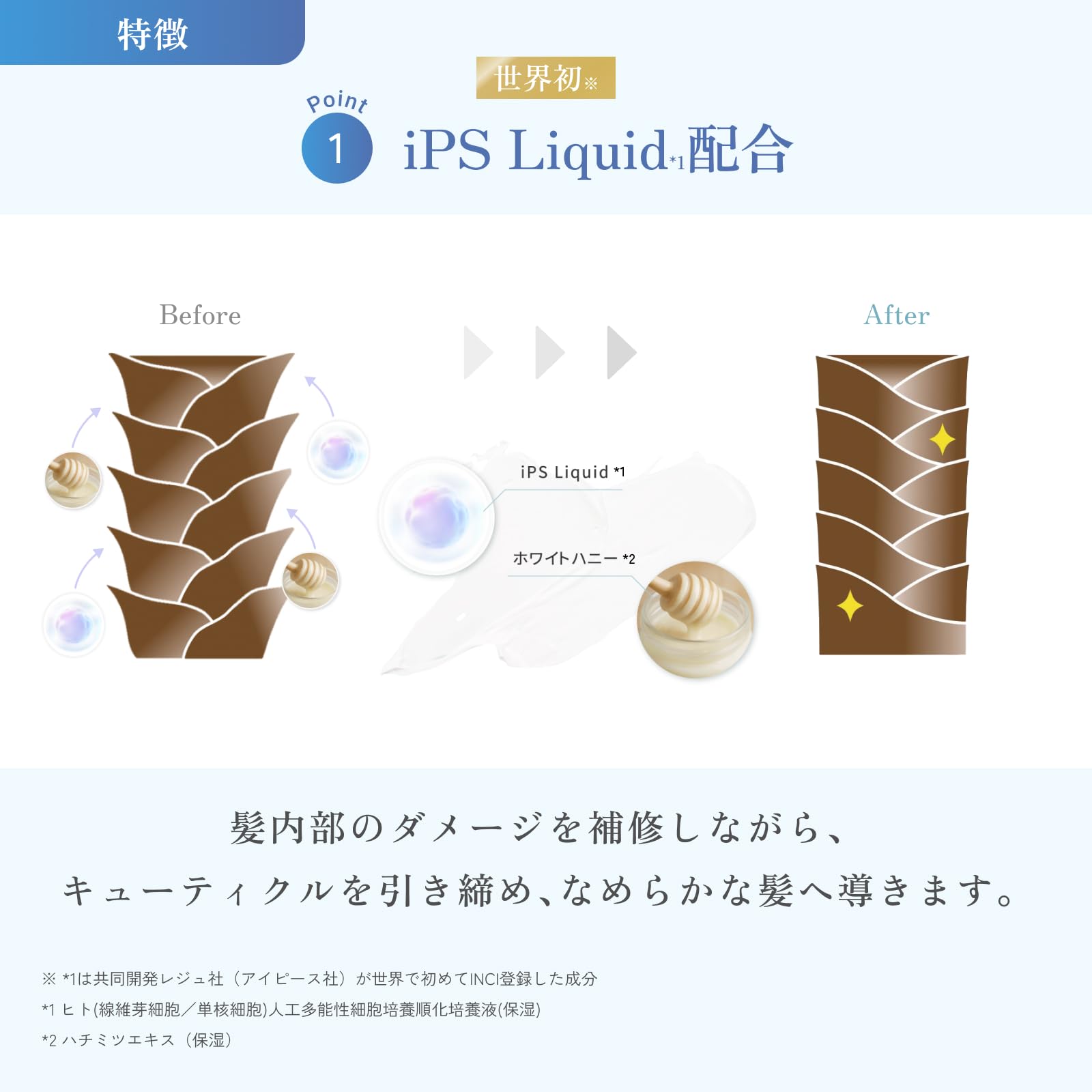 Amazon | &honey (アンドハニー) ー プロフェッショナルシステム