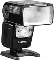 その他 Panasonic - Panasonic DMW-FL580L dmw-fl580l-8.jpg?optimize=