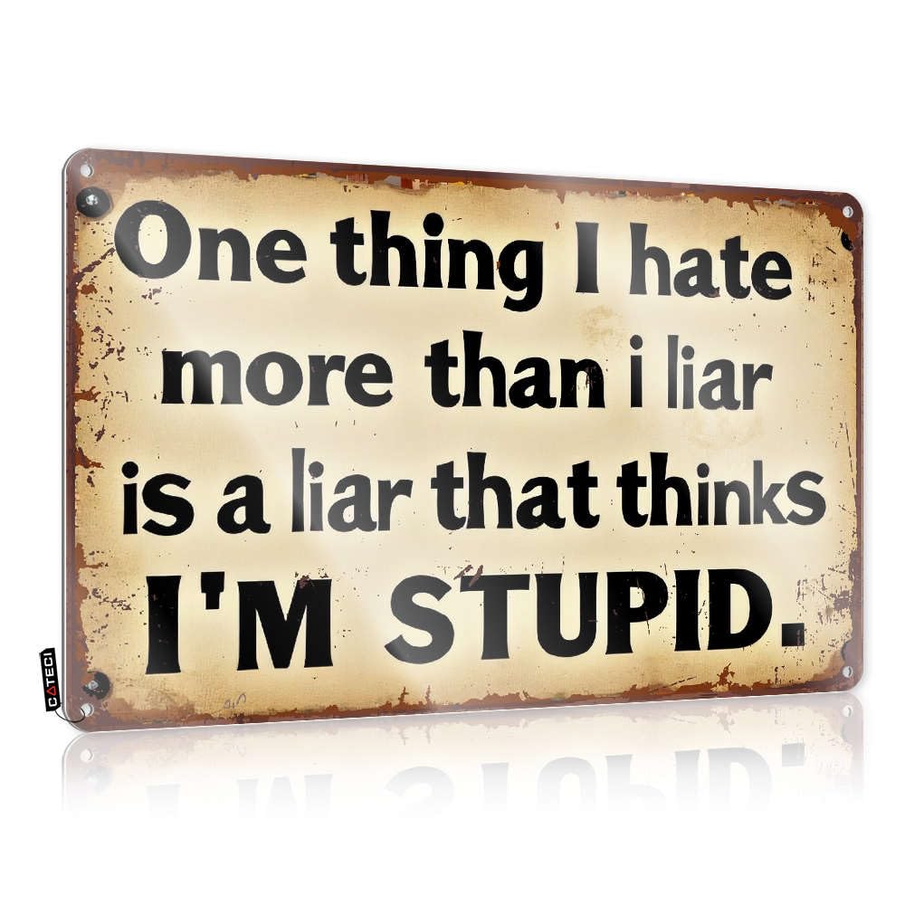 Funny Desk Signs One Thing I Hate More Than A Liar Is A Liar That Thinks I'M Stupid. Tin Sign Decaor Sign Outdoor Bar Decor(20X30CM)