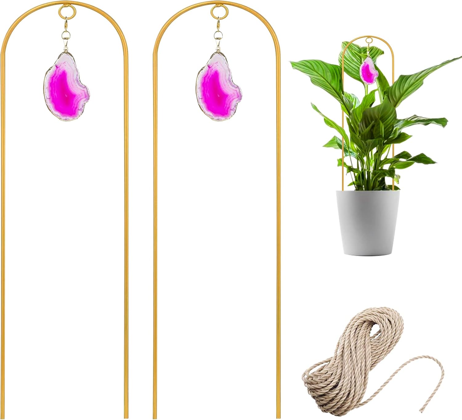 2 Pcs Small Plant Trellis for Indoor Potted Plants,Mini