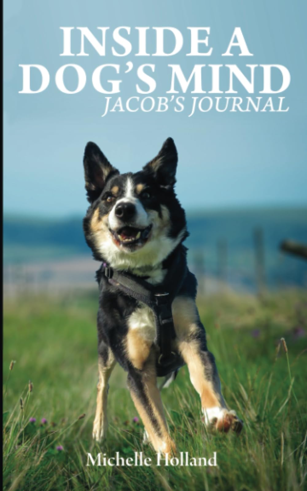 Inside A Dog's Mind: Jacob's Journal