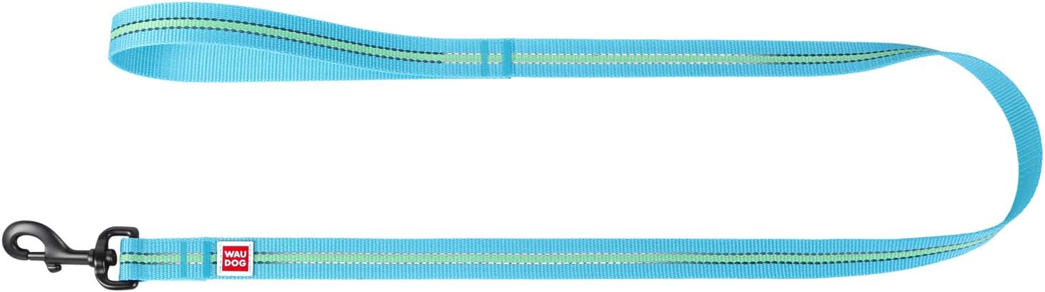 Nylon Reflective Dog Leash 4 Ft - Nylon Dog Leashes for Large Dogs, Medium & Leash for Small Dogs - Long Reflective for Puppy (4 Ft x 0.8" Wide, Blue)